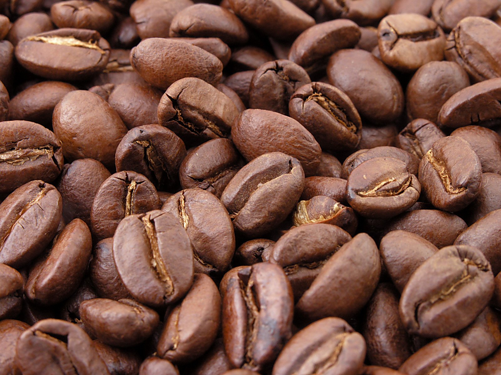 Roasted Guatemala coffee beans
